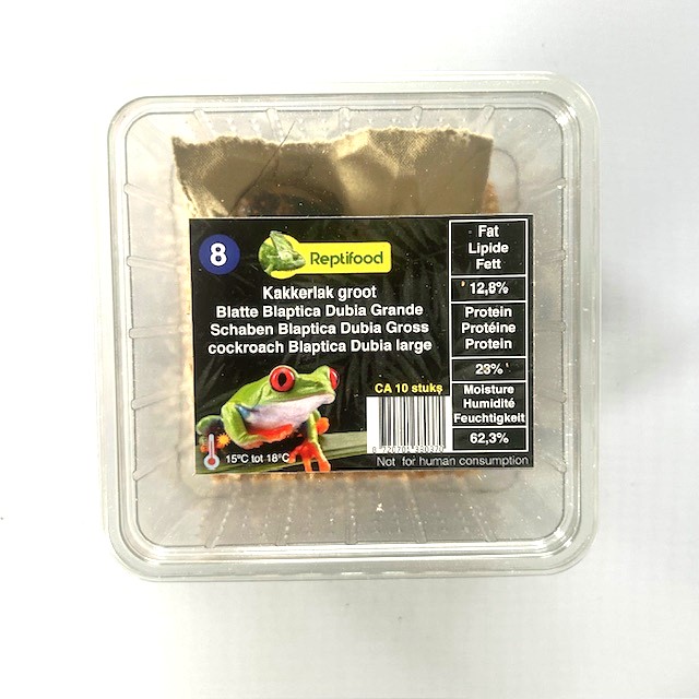 Kakkerlak BD volwassen in doosje